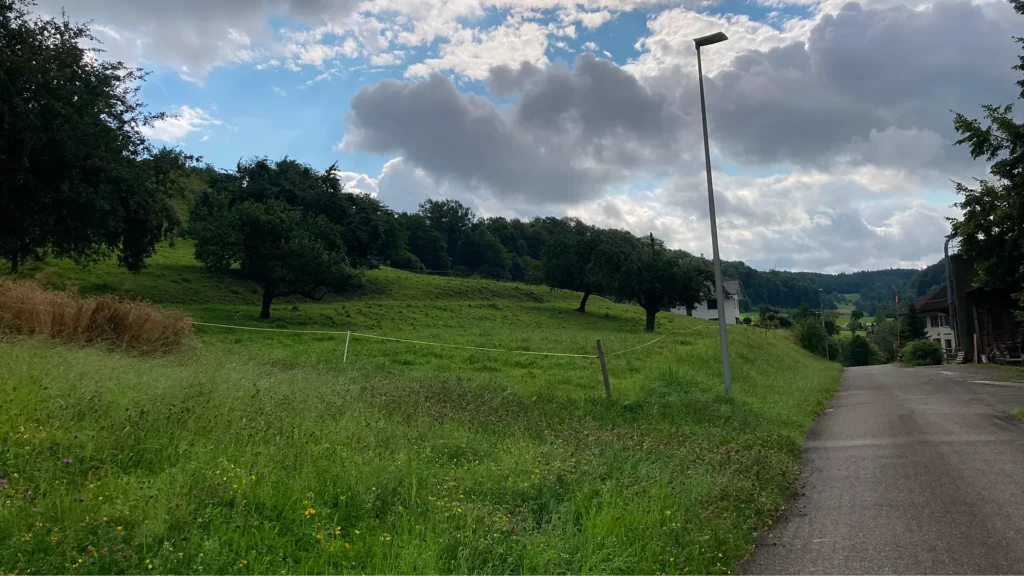 Böbikon - Wiedenächer