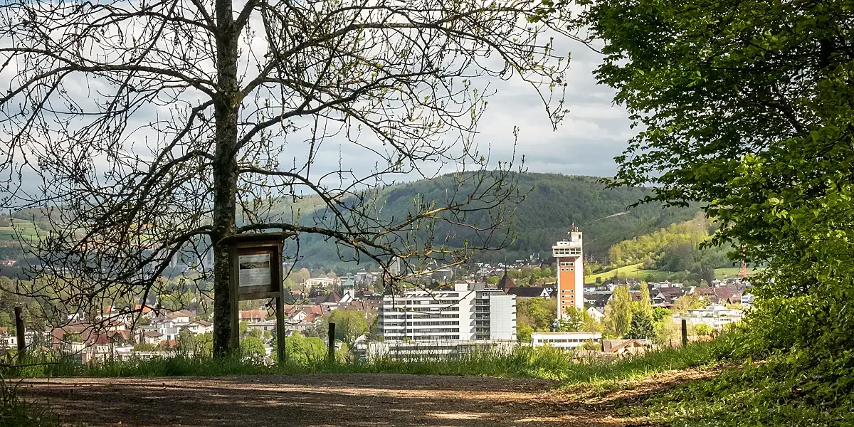 werkbetriebe-20242102141508