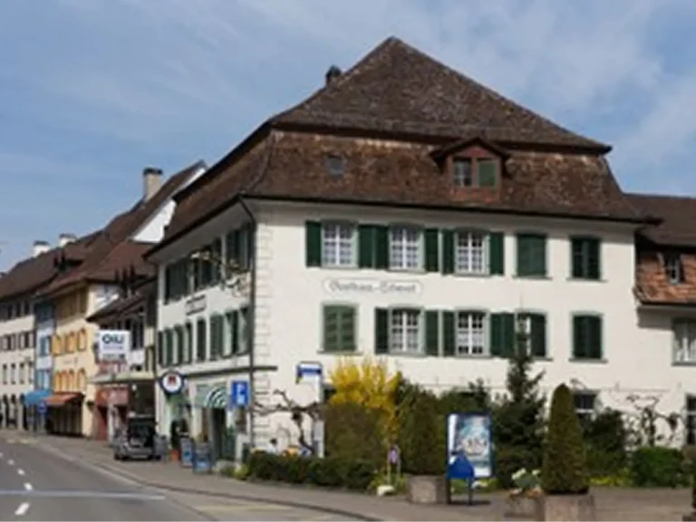 Schwert Bad Zurzach